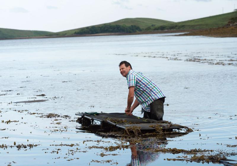 Up to your oysters?