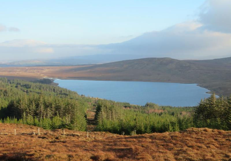 A remote and unfrequented glen