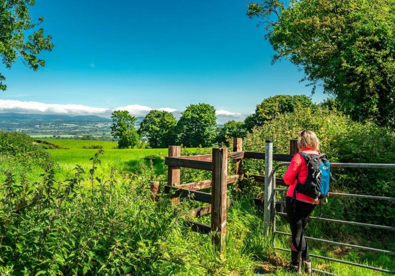 Walk Declan’s Way in a Week 