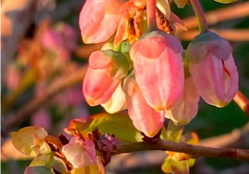 Playing with colour and texture