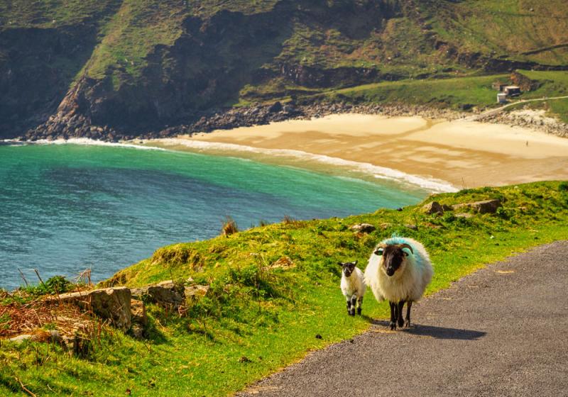 Global Ireland versus rural Ireland