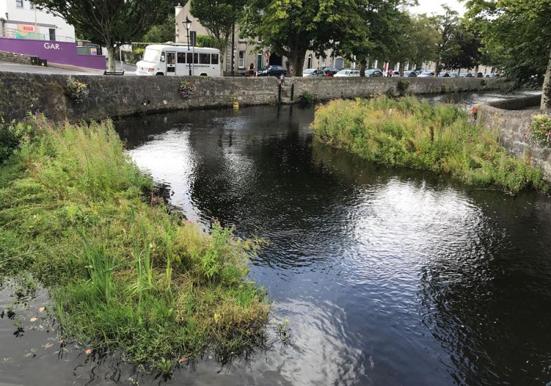 Restoring the Carrowbeg River