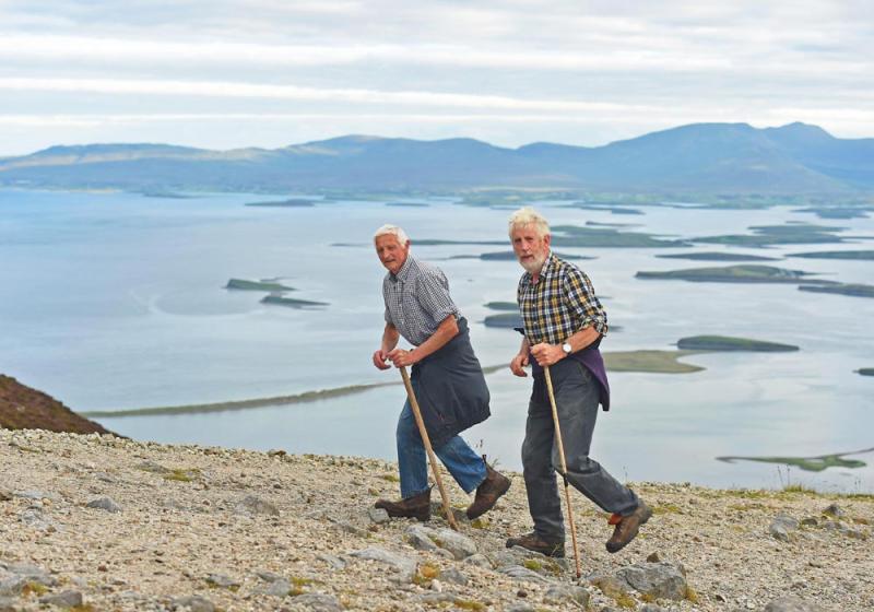 Reek Sunday pilgrimage alive and well