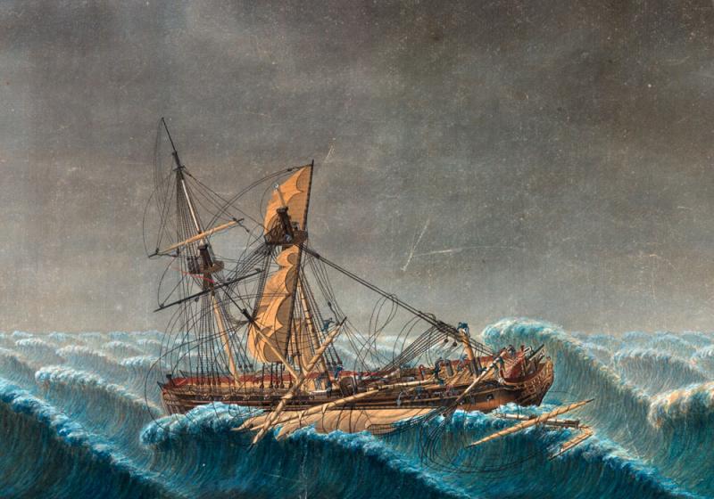 An unexpected visitor