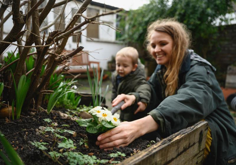 A green spring clean in the garden