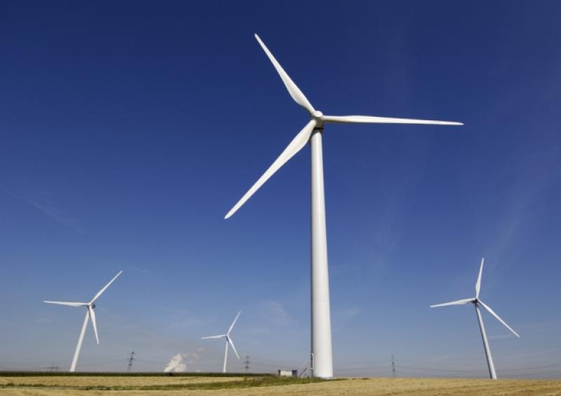 40 hectares of trees to be cut to facilitate proposed wind turbines in Mayo townlands 