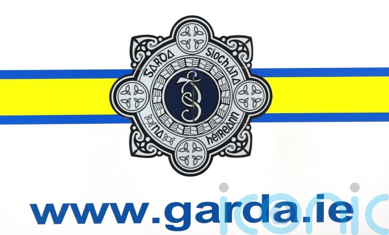 Two women treated for serious injuries after dog attack