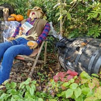 Hatchets of Horror brings Halloween thrills to Mayo