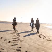 Horse trainer to lead advanced horsemanship workshop in Mayo