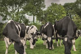 Planning permission has been sought for a new dairy enterprise in north Mayo